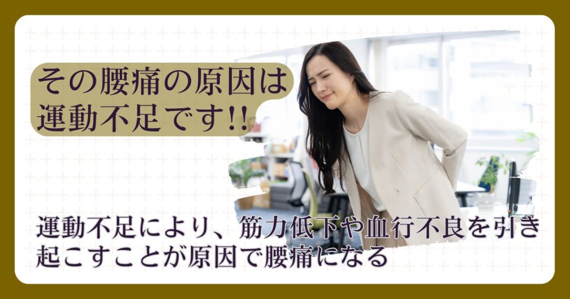 運動不足が筋力の低下や血行不良を引き起こし腰痛になる。旭川市で腰痛でお困りなら旭川市の整体院ヨシダカイロプラクティックに相談を
